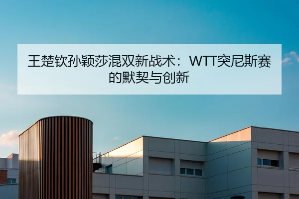 王楚钦孙颖莎混双新战术：WTT突尼斯赛的默契与创新