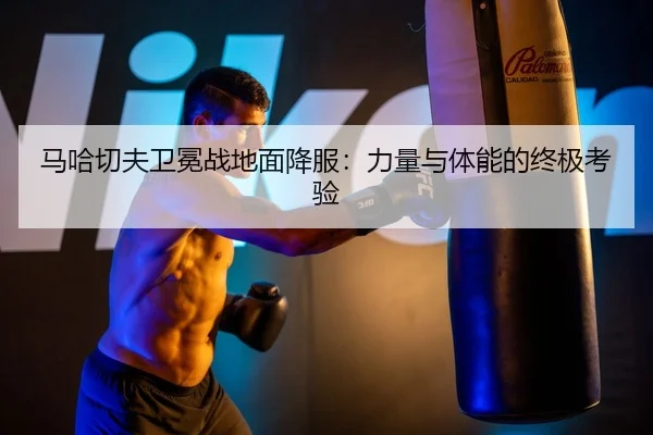 ma-ha-qie-fu-wei-mian-zhan-di-mian-xiang-fu-li-liang-yu-ti-neng-de-zhong-ji-kao-yan-2-327.jpg