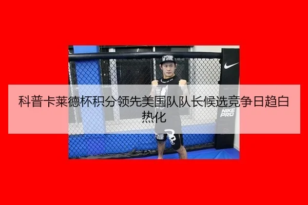 ke-pu-ka-lai-de-bei-ji-fen-ling-xian-mei-guo-dui-dui-zhang-hou-xuan-jing-zheng-ri-qu-bai-re-hua-3-250.jpg