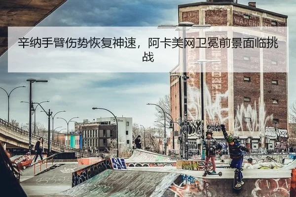 xin-na-shou-bi-shang-shi-hui-fu-shen-su-a-ka-mei-wang-wei-mian-qian-jing-mian-lin-tiao-zhan-2-238.jpg