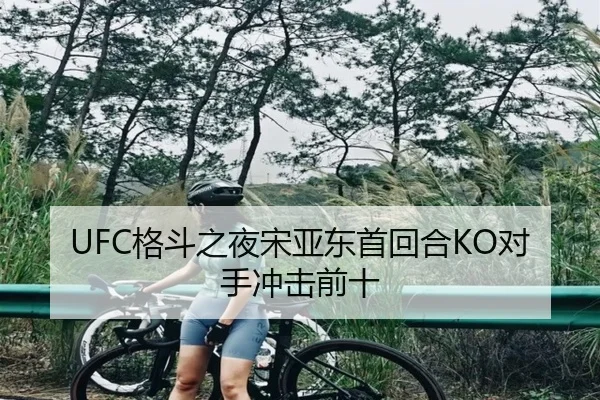 UFC格斗之夜宋亚东首回合KO对手冲击前十